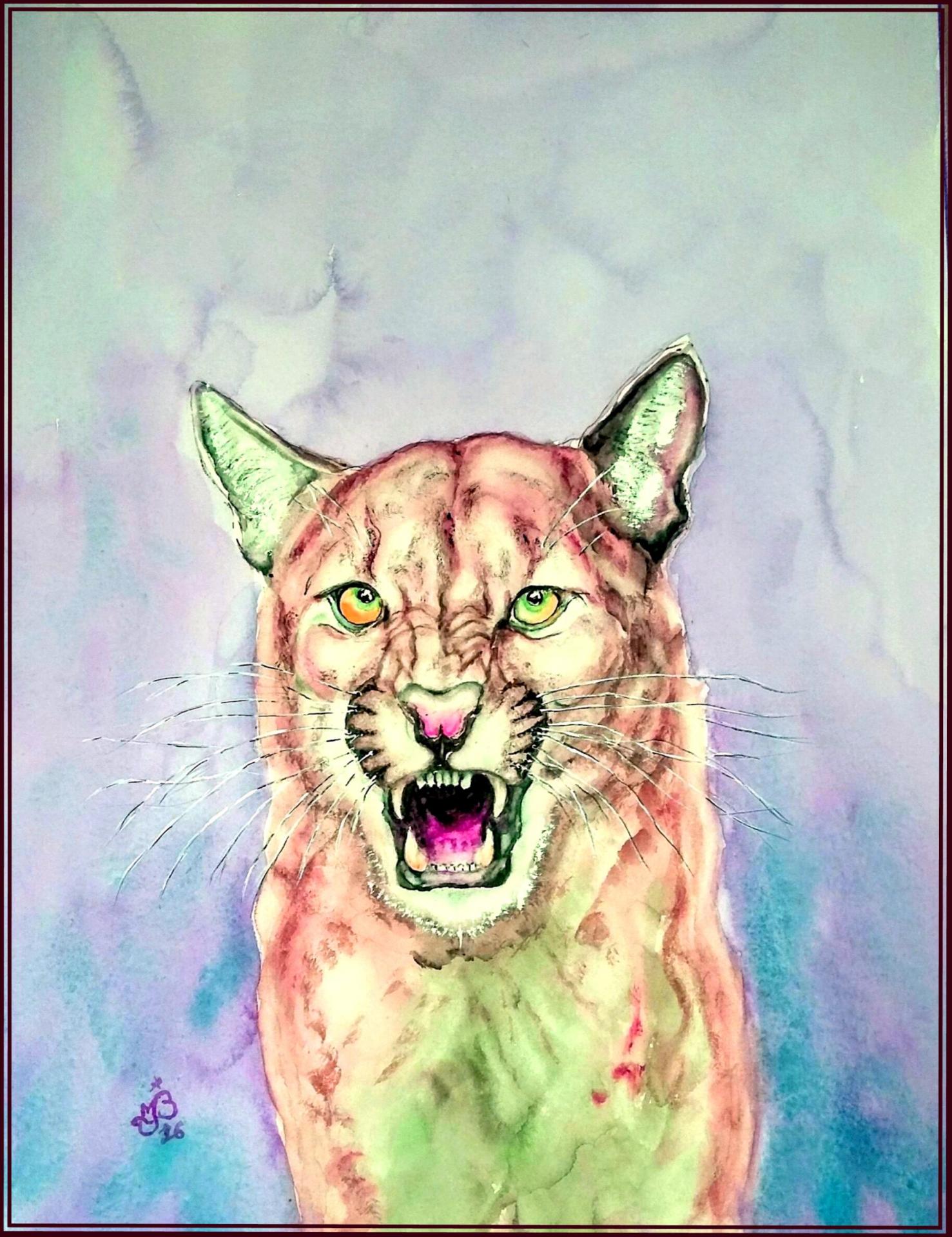 Puma portrait